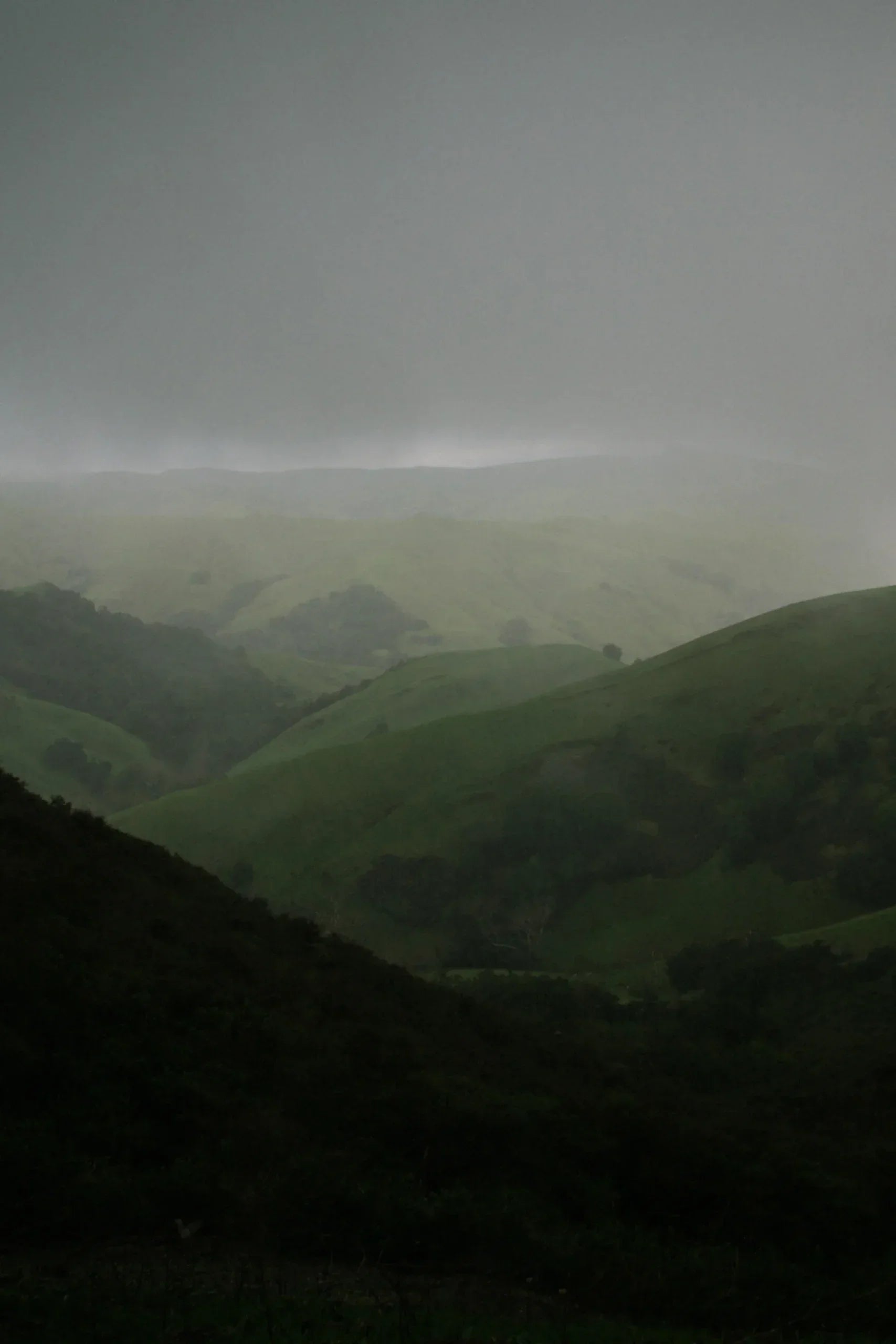 Paso Robles Terroir: Why Location defines every great bottle